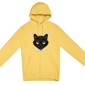 Hello Darkness My Old Friend Cat Halloween Gift Premium Pullover Hoodie