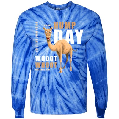 Hump Day Meaningful Gift Guess What Day It Is Gift Tie-Dye Long Sleeve Shirt