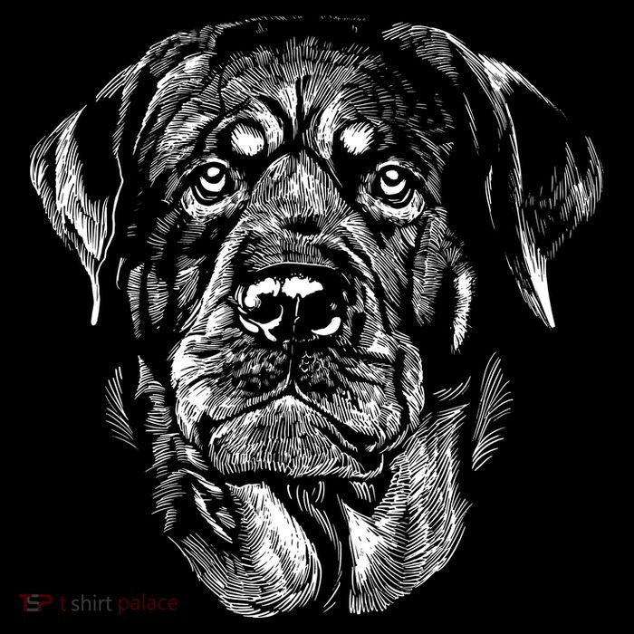 Hand Drawn Rottweiler Dog Sustainable Bucket Hat