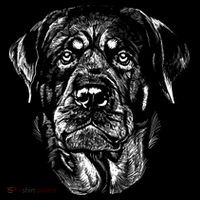 Hand Drawn Rottweiler Dog Youth Performance Sprint T-Shirt