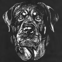 Hand Drawn Rottweiler Dog Golf Towel