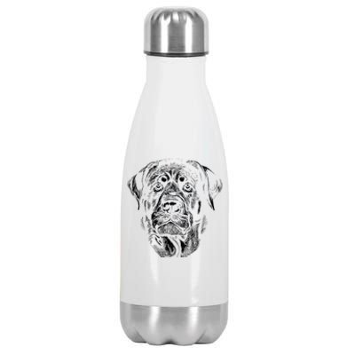 Hand Drawn Rottweiler Dog Stainless Steel Insulated Water Bottle