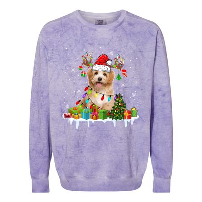 Havanese Dog Santa Reindeer Funny Christmas Lights Dog Meaningful Gift Colorblast Crewneck Sweatshirt