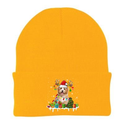 Havanese Dog Santa Reindeer Funny Christmas Lights Dog Meaningful Gift Knit Cap Winter Beanie