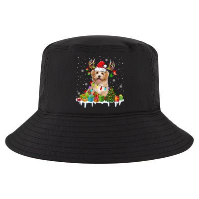 Havanese Dog Santa Reindeer Funny Christmas Lights Dog Meaningful Gift Cool Comfort Performance Bucket Hat