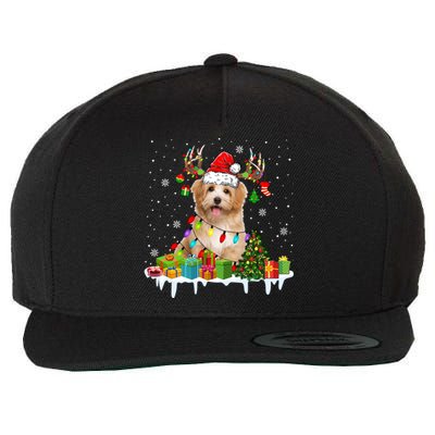 Havanese Dog Santa Reindeer Funny Christmas Lights Dog Meaningful Gift Wool Snapback Cap