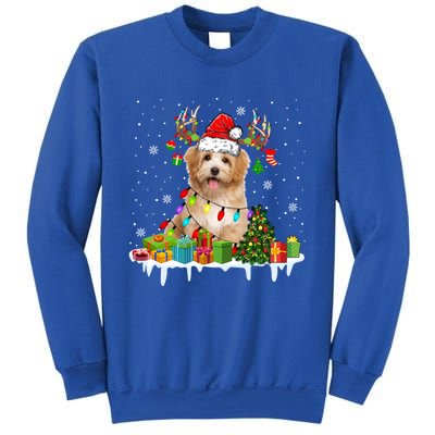 Havanese Dog Santa Reindeer Funny Christmas Lights Dog Meaningful Gift Sweatshirt