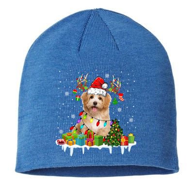 Havanese Dog Santa Reindeer Funny Christmas Lights Dog Meaningful Gift Sustainable Beanie