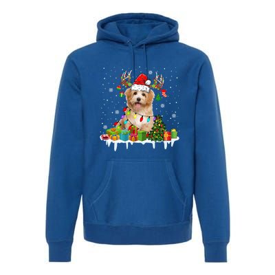 Havanese Dog Santa Reindeer Funny Christmas Lights Dog Meaningful Gift Premium Hoodie