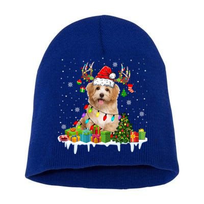 Havanese Dog Santa Reindeer Funny Christmas Lights Dog Meaningful Gift Short Acrylic Beanie