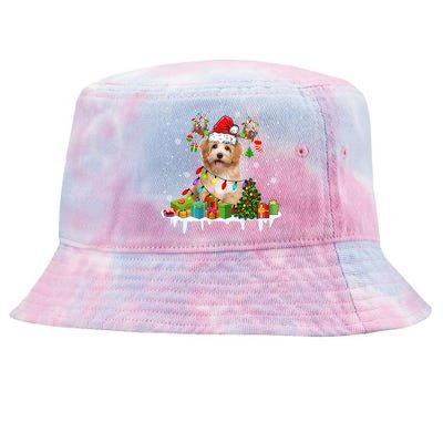 Havanese Dog Santa Reindeer Funny Christmas Lights Dog Meaningful Gift Tie-Dyed Bucket Hat