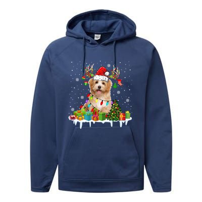 Havanese Dog Santa Reindeer Funny Christmas Lights Dog Meaningful Gift Performance Fleece Hoodie