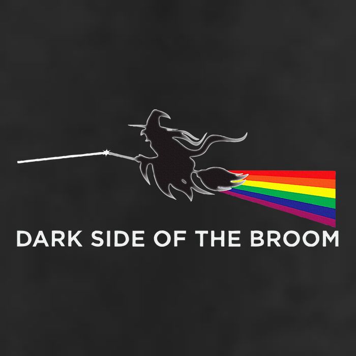 Halloween Dark Side Of The Broom Classic Rock Witch 11oz C Handle Ceramic Mug