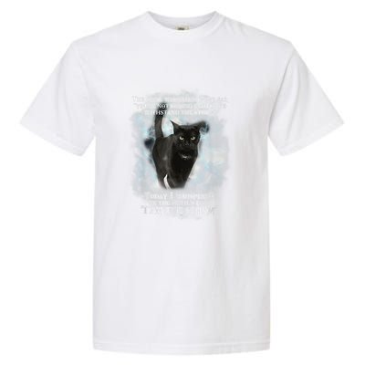 He Devil Whispered In My Ear You ArenT Strong Enough Cat Garment-Dyed Heavyweight T-Shirt