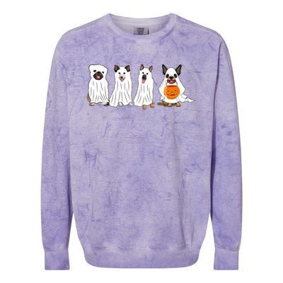 Halloween Dog With Pumpkin Spooky Halloween Dog Ghost Cool Gift Colorblast Crewneck Sweatshirt