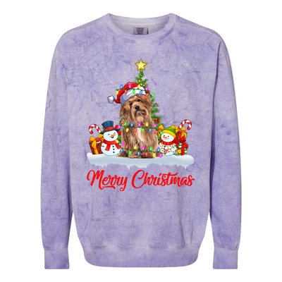 Havanese Dog Xmas Tree Lighting Santa Havanese Christmas Gift Colorblast Crewneck Sweatshirt