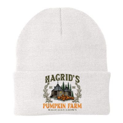 Hagrid’S Est. 1981 Pumpkin Farm Magically Grown Halloween Knit Cap Winter Beanie