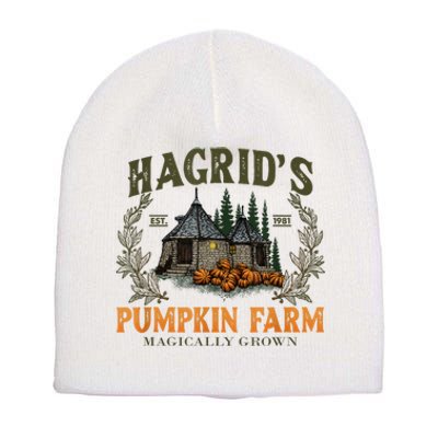 Hagrid’S Est. 1981 Pumpkin Farm Magically Grown Halloween Short Acrylic Beanie