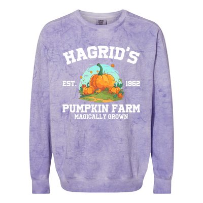 HagridS Est. 1962 Pumpkin Farm Magically Grown Halloween Colorblast Crewneck Sweatshirt