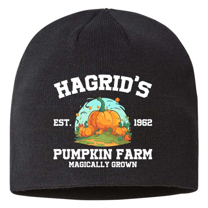 HagridS Est. 1962 Pumpkin Farm Magically Grown Halloween Sustainable Beanie