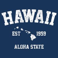 Hawaii Est 1959 Aloha State Vintage Kids T-Shirt