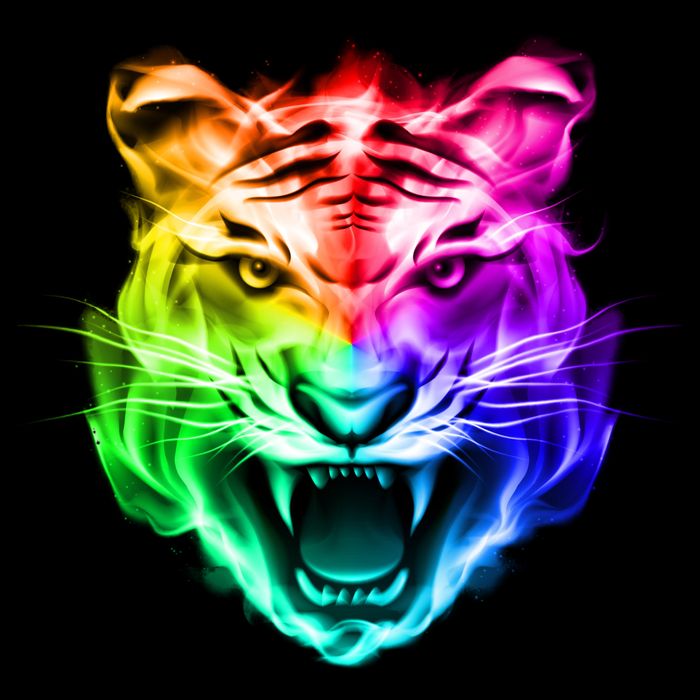 Head of Tiger Blazing in Spectrum Fire T-Shirt