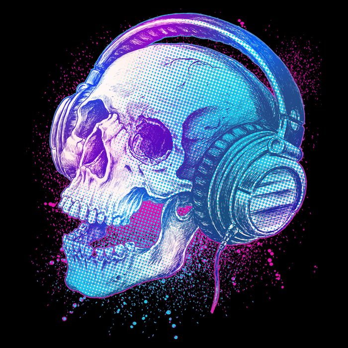 Headphones Music Lover Skull Flatbill Hat