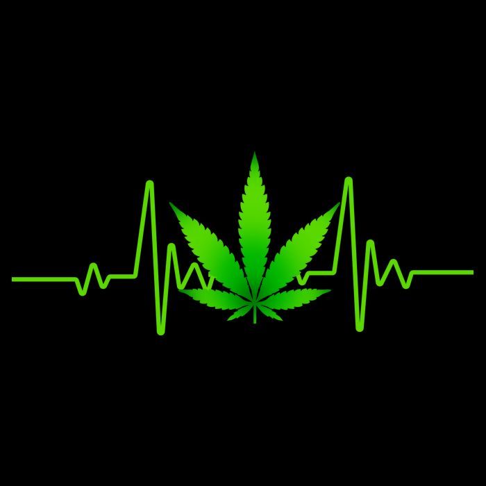 Heartbeat Weed Pulse Sustainable Knit Beanie