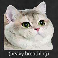 Heavy Breathing Cat 7 Panel Mesh Trucker Snapback Hat