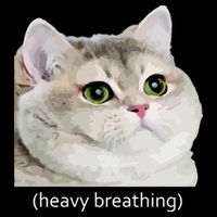 Heavy Breathing Cat Tall T-Shirt