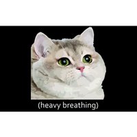 Heavy Breathing Cat Bumper Sticker