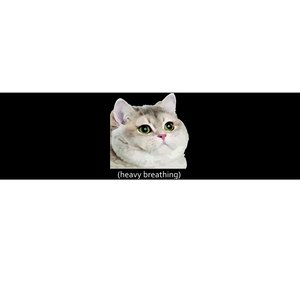 Heavy Breathing Cat Bumper Sticker