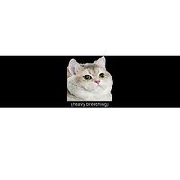 Heavy Breathing Cat Bumper Sticker