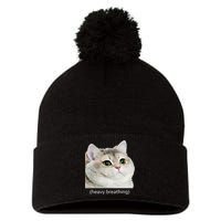 Heavy Breathing Cat Pom Pom 12in Knit Beanie