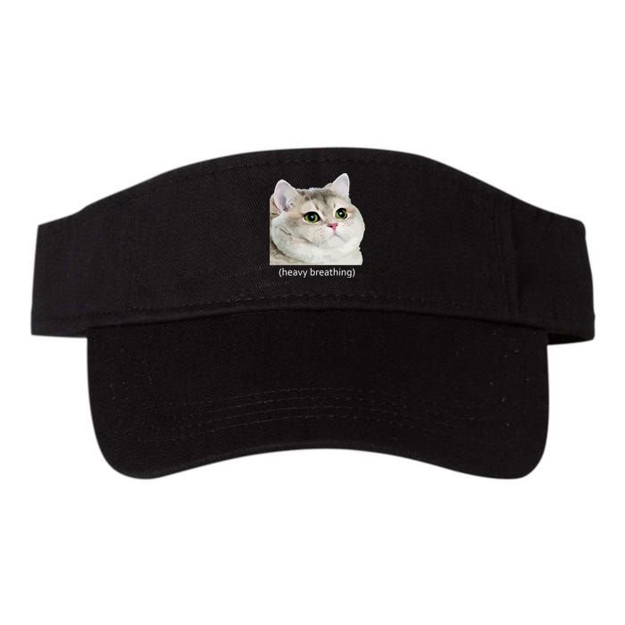 Heavy Breathing Cat Valucap Bio-Washed Visor