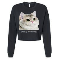 Heavy Breathing Cat Cropped Pullover Crew