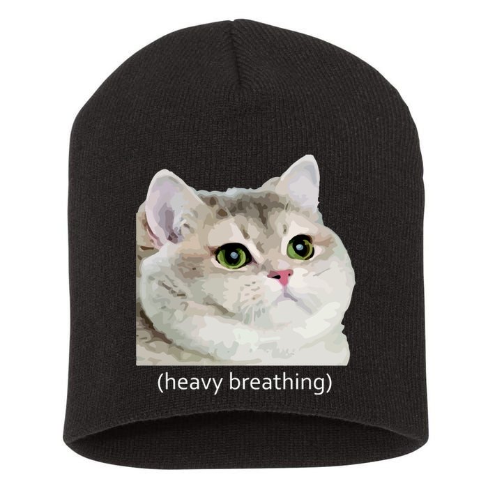 Heavy Breathing Cat Short Acrylic Beanie