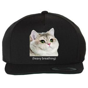 Heavy Breathing Cat Wool Snapback Cap