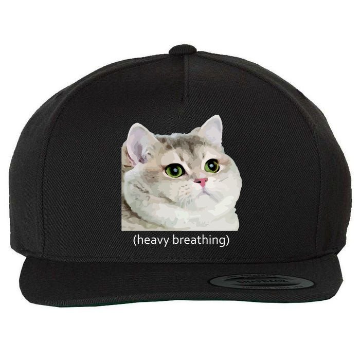 Heavy Breathing Cat Wool Snapback Cap