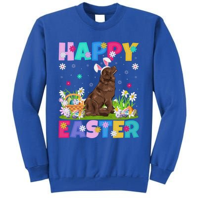 Happy Easter Bunny Newfoundland Dog Easter Sunday Cute Gift Tall Sweatshirt