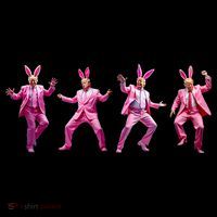 Happy Easter Bunny Spring Hunt Eggs Rabbit Funny Trump Dance Magnet
