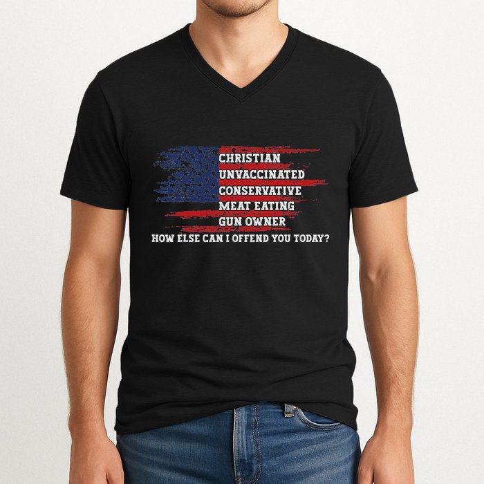 How Else Can I Offend You Today V-Neck T-Shirt