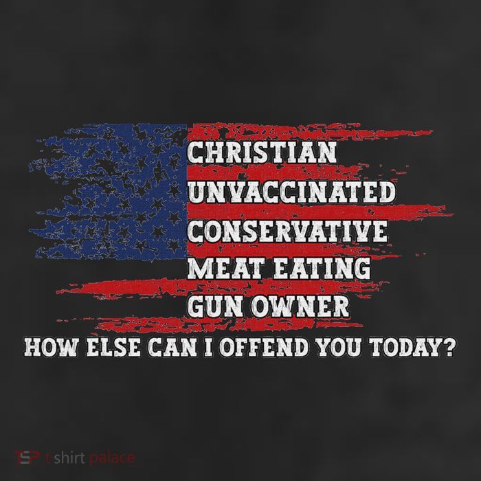How Else Can I Offend You Today Beanie