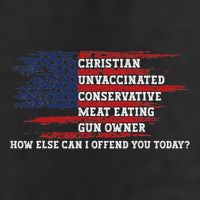 How Else Can I Offend You Today Crop Fleece Hoodie