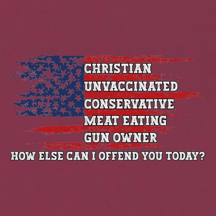 How Else Can I Offend You Today 16oz Travel Tumbler
