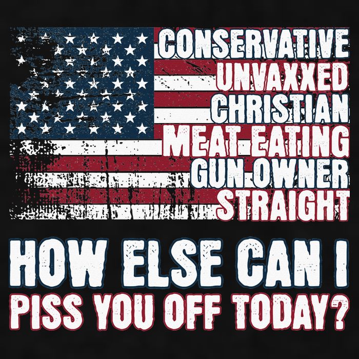How Else Can I Piss You Off Today Us Flag Ladies PosiCharge Tri-Blend Wicking Tank