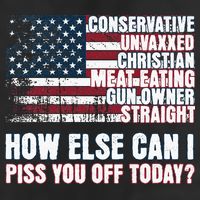 How Else Can I Piss You Off Today Us Flag Garment-Dyed Fleece Hoodie