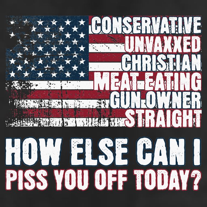How Else Can I Piss You Off Today Us Flag Beanie