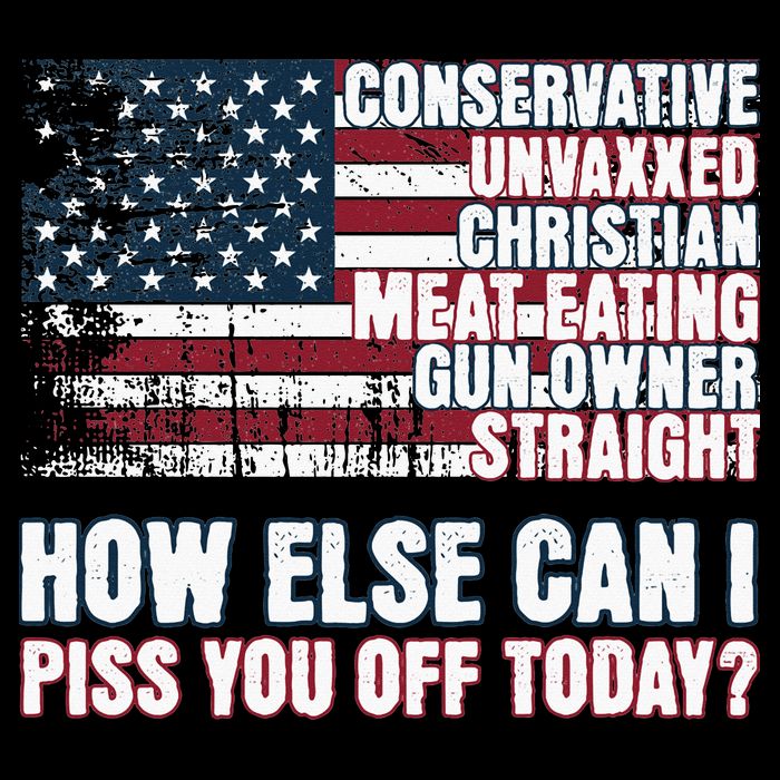 How Else Can I Piss You Off Today Us Flag 16 in Basic Backpack
