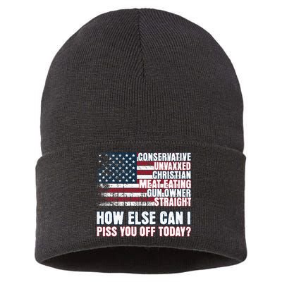 How Else Can I Piss You Off Today Us Flag Sustainable Knit Beanie
